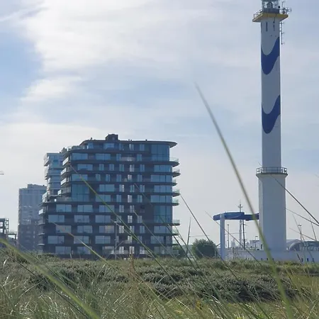 Park Tower Sea View With Pool And Gym 公寓 *