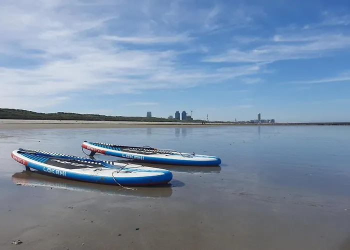 Park Tower Sea View With Pool And Gym * Ostend